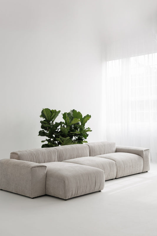 Graues modulares Samtsofa in einem Studio mit grüner Pflanze