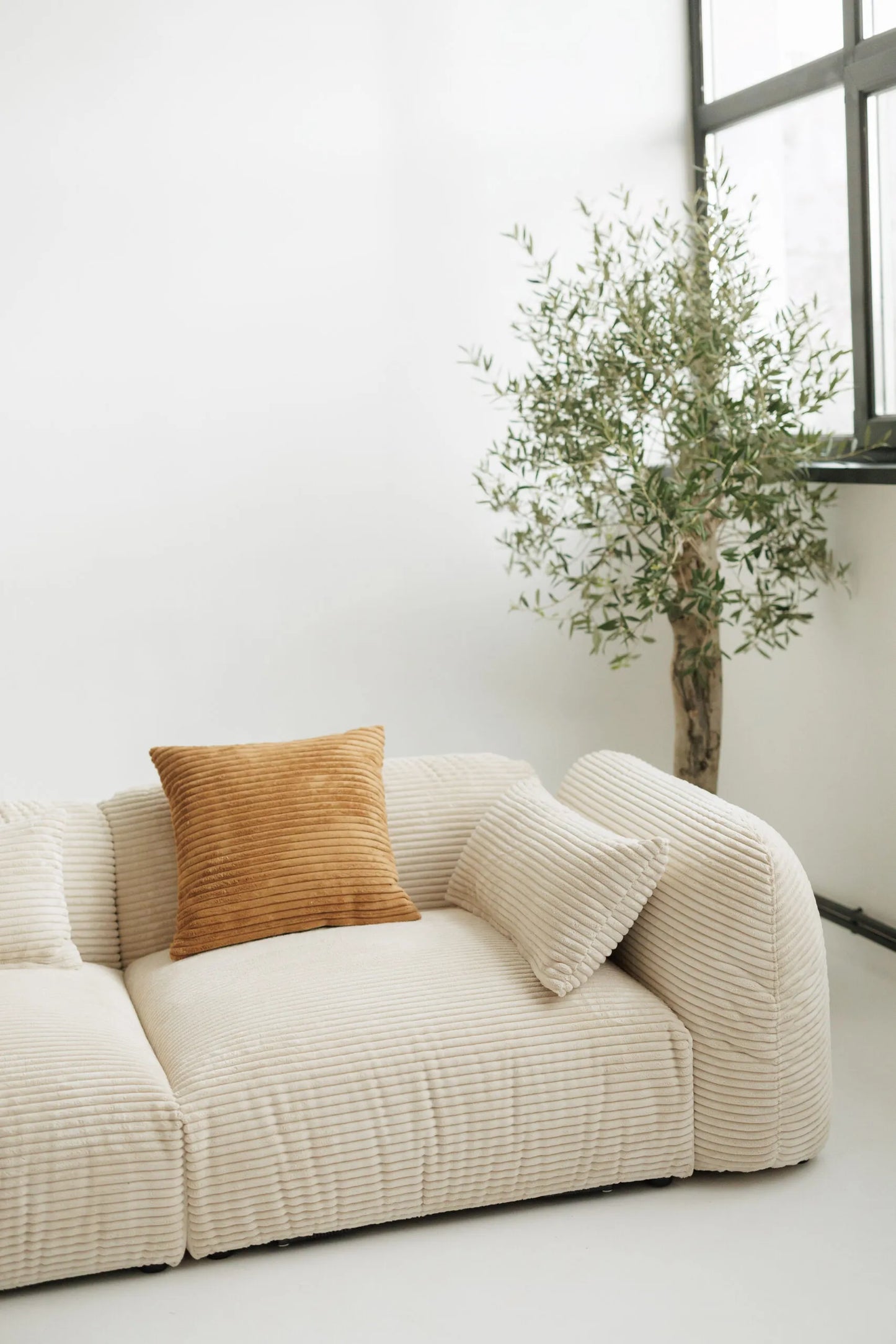 Beige sofa with a brown pillow and a potted plant in a minimalistic room.