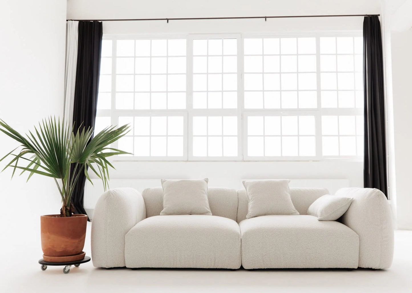 White sofa in a room with large windows and a potted plant.