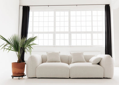 White sofa in a room with large windows and a potted plant.