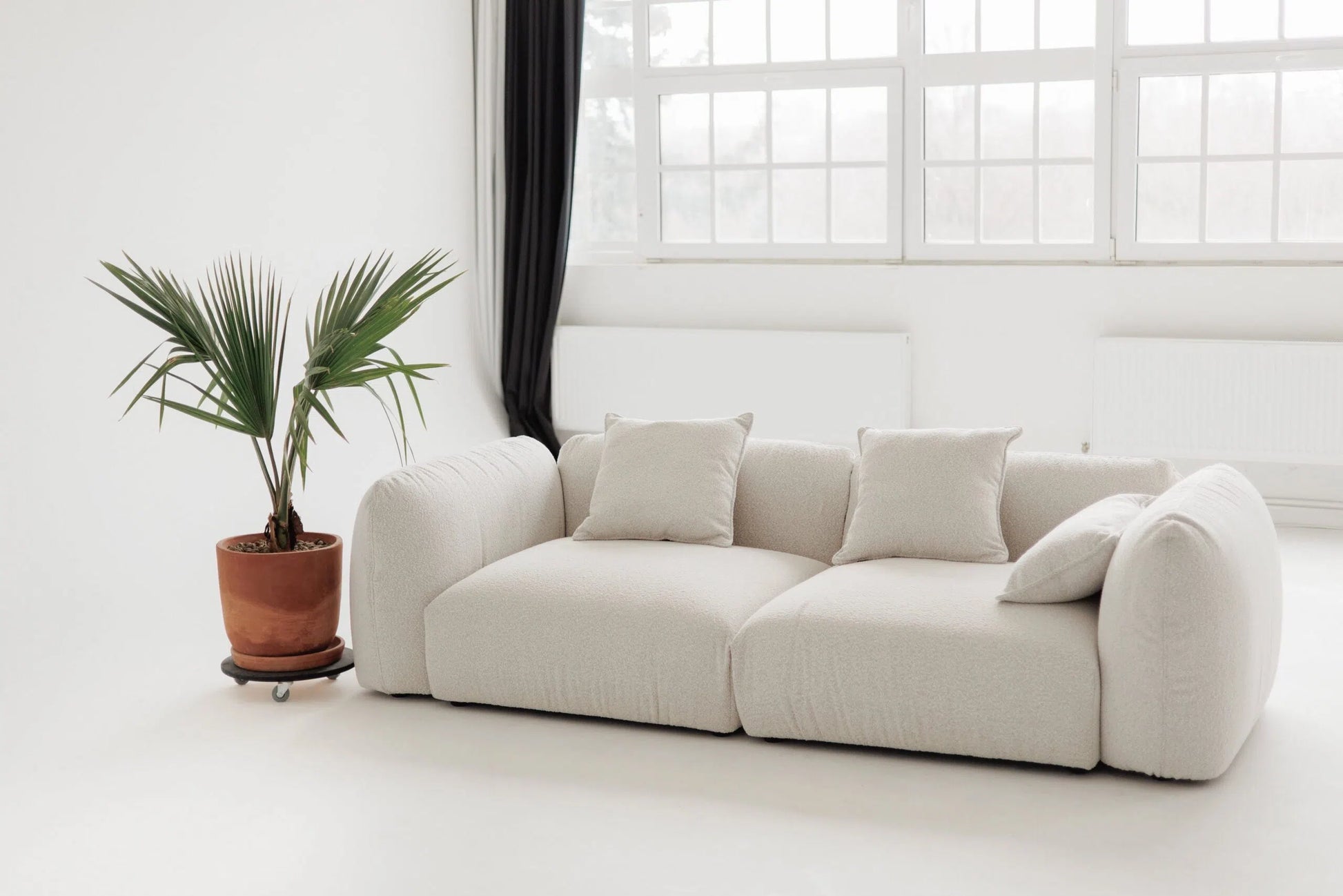 White sofa in a room with a large window and a plant.