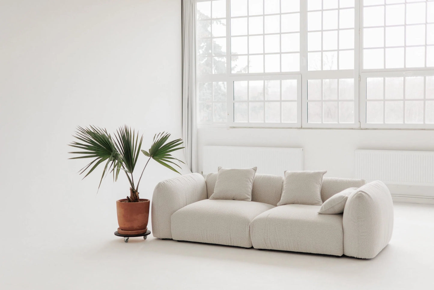 White sofa with cushions in a bright room with large windows and a potted plant.