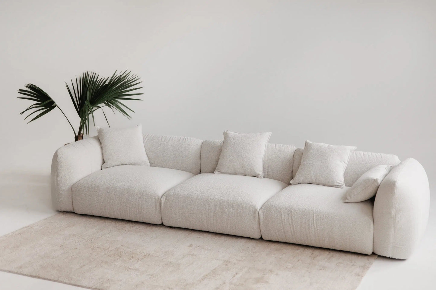 White luxury sofa in a minimalistic room with a plant and rug.