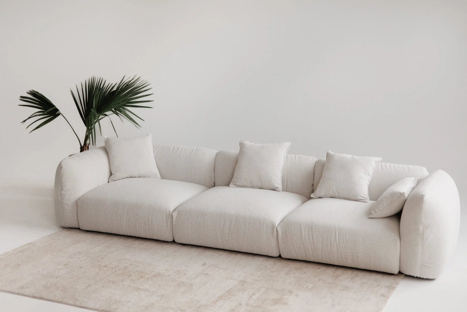White luxury sofa in a minimalistic room with a plant and rug.